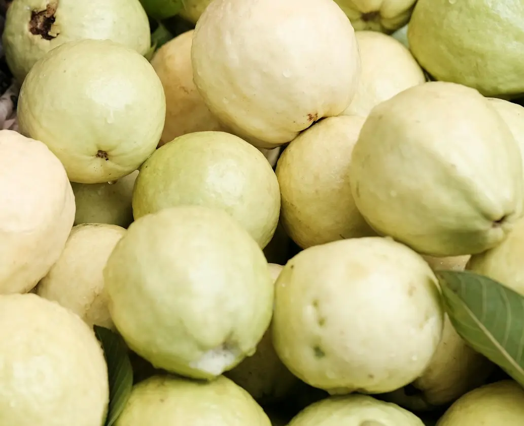 A pile of fruit sitting next to each other